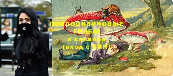 первитин Алексеевка